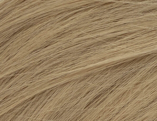 Silvie Hair Previews
